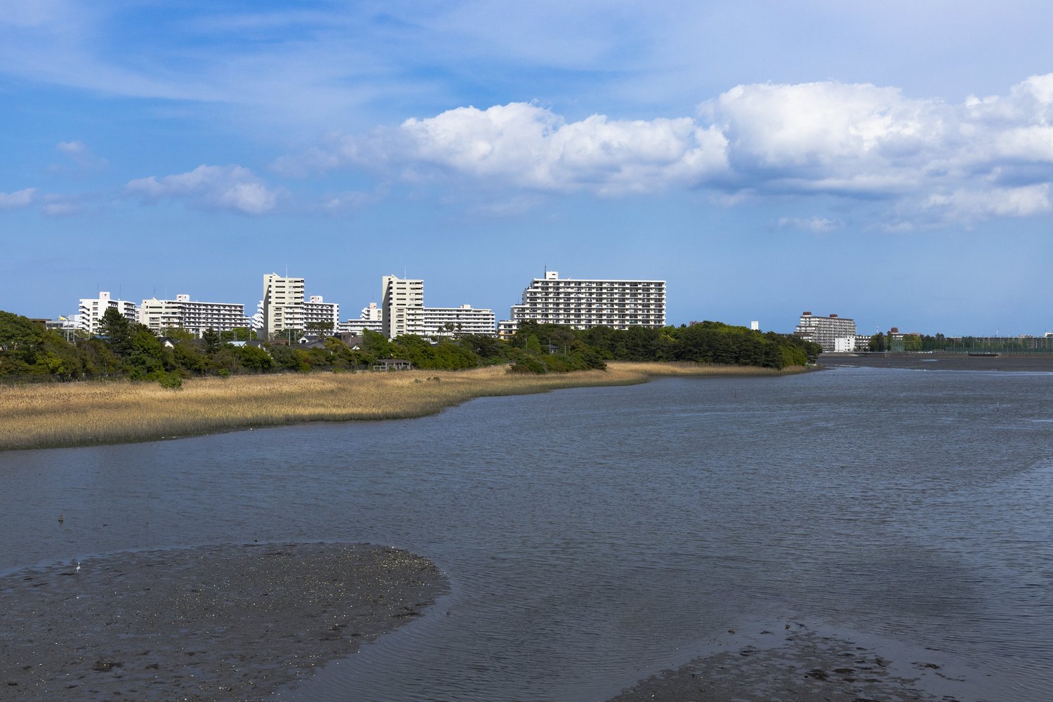 谷津干潟。埋め立てが進む中でも残った貴重な干潟だ