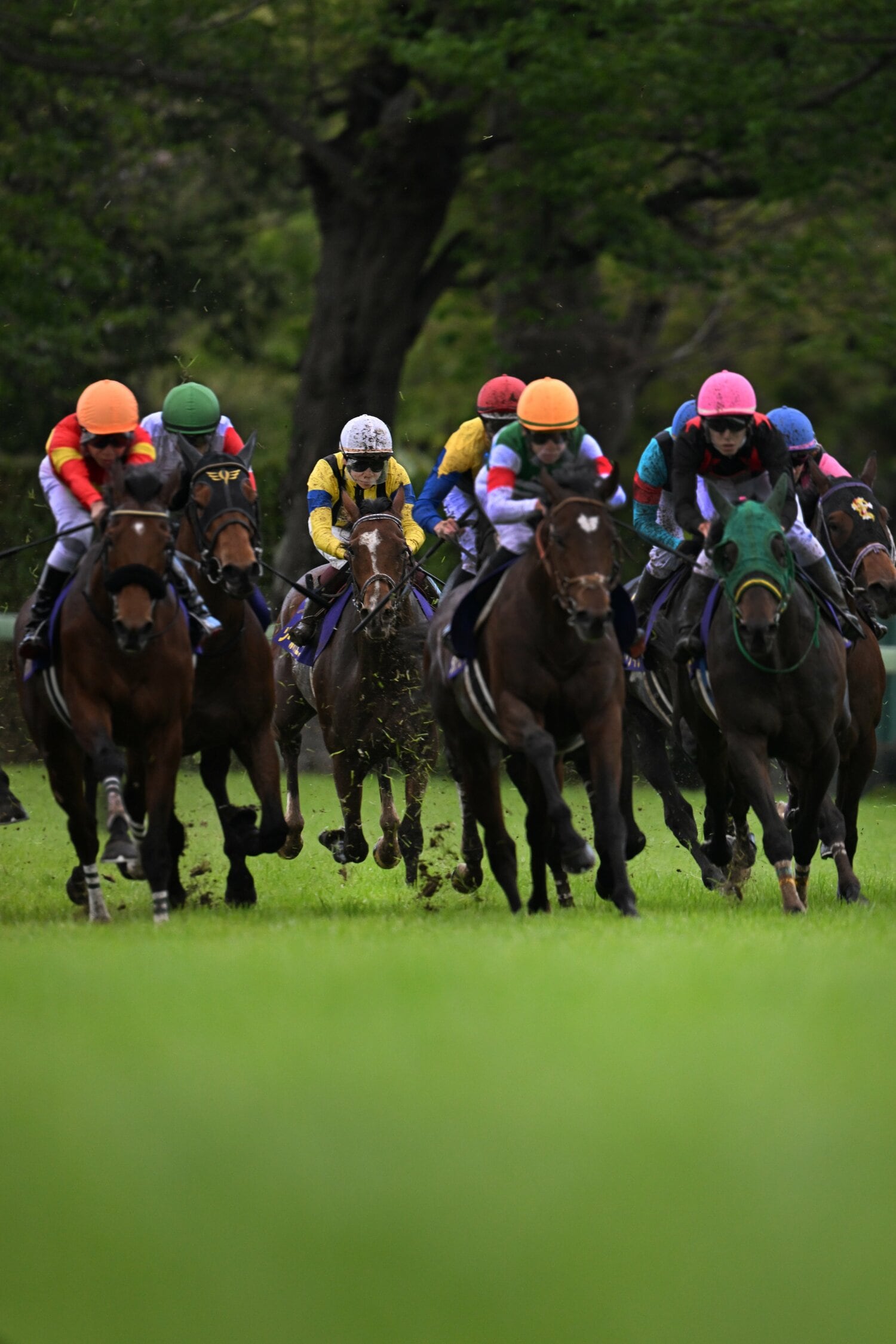 2023年の皐月賞を驚異的な末脚で制したソールオリエンス（左から3頭目） ©Keiji Ishikawa