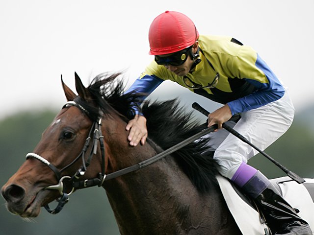 ディープインパクト 尾毛 馬毛 【本物】値下げOK ディープインパクト 尾毛 馬毛 【本物】値下げOK