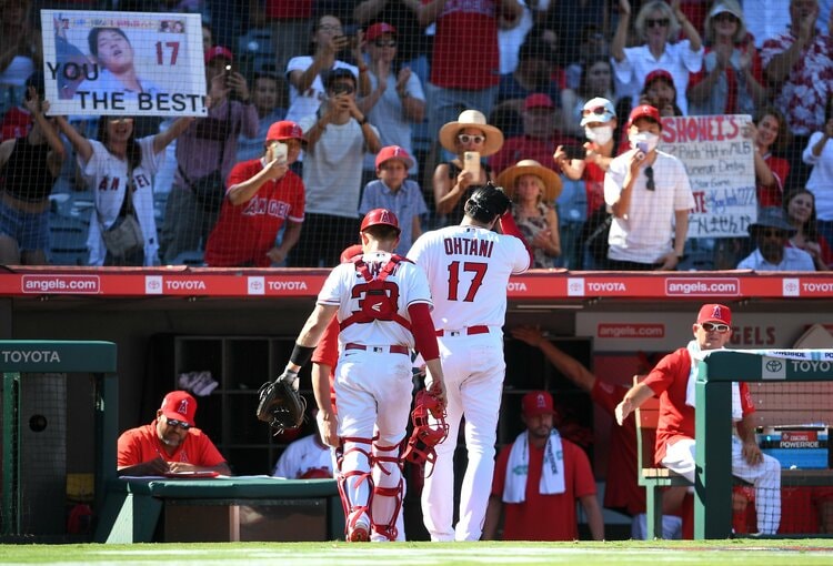 大谷翔平の神イラストや“珍”応援ボードが面白すぎ 「アロハSHOHEI