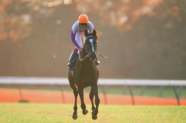 スペシャルウィーク ／ photograph by Tomohiko Hayashi