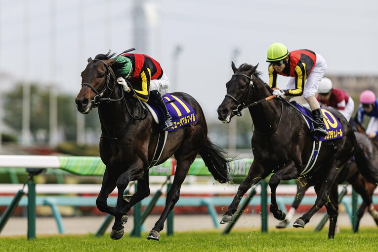 クロワデュノールを置き去りにするミュージアムマイル　©Kiichi Matsumoto