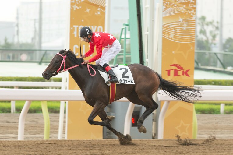 2018年8月12日、大井競馬5Rをシルヴェーヌで勝利し、地方競馬通算7152勝の新記録を達成した　協力：TCK（東京シティ競馬）