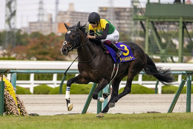 菊花賞を鮮やかに逃げ切ったタイトルホルダー。姉とは異なり、馬体重は460～470kg台と標準的　©Photostud