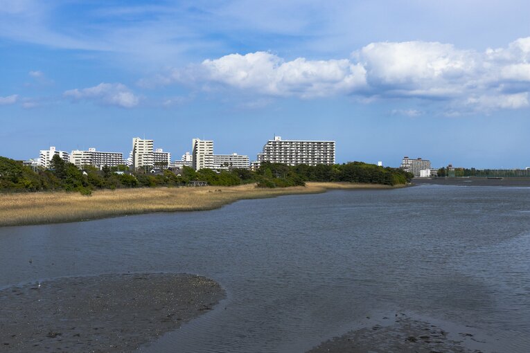 谷津干潟。埋め立てが進む中でも残った貴重な干潟だ