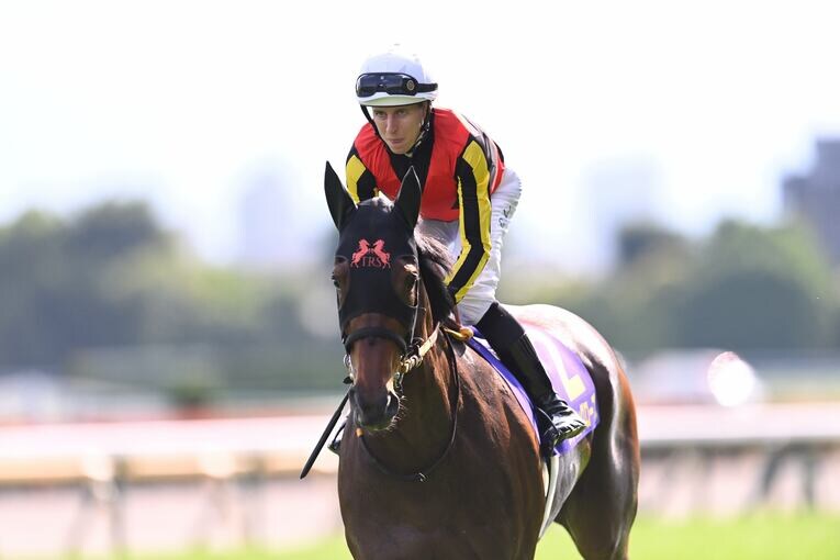 オークス直前に顔面を蹴られて放馬…発走“15分の大遅延”はなぜ起きたのか？「多くの馬の戦いは、スタート前に終わってしまった」(13)