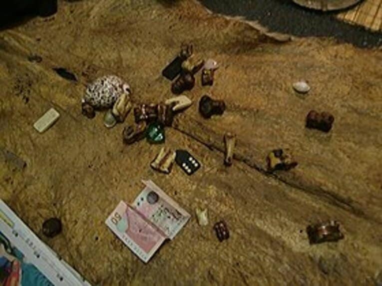 ドイツのタコより凄い占い師登場。南アW杯優勝国はオランダである！(3)