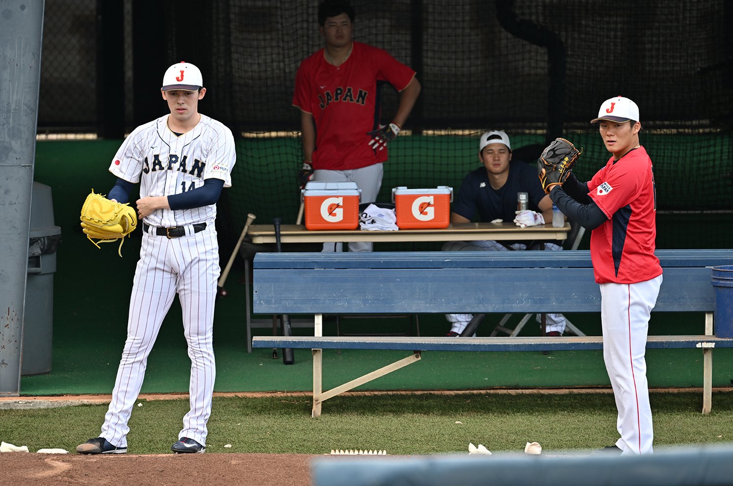 無地・新色登場！ ２０２３年 侍ジャパン 山崎颯一郎 直筆サイン WBC