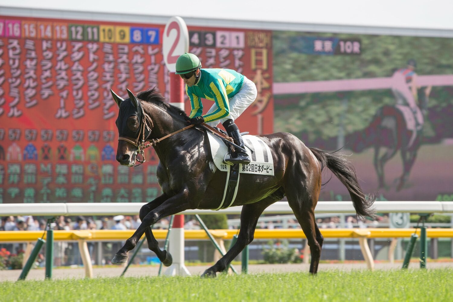 サトノクラウンはデビューから3連勝で東スポ杯2歳S（GIII）と弥生賞（GII）を制覇も、3歳時はGIタイトルに手が届かなかった　©Getty Images