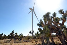 ジョシュアツリーと風車。 