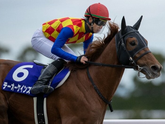 「世界でも通用するのでは」新ダート王者・テーオーケインズが見せた“6馬身差の圧勝劇”…一方ソダシの敗因は？《チャンピオンズC》＜Number Web＞ photograph by Photostud