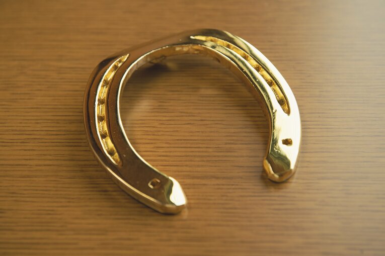 クイーンS勝利時の「金の蹄鉄」©Wataru Sato