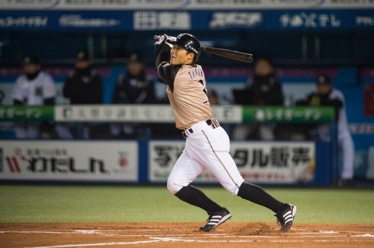 2016年 ／ photograph by Nanae Suzuki