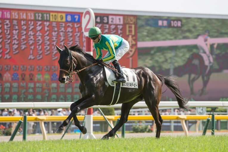 サトノクラウンはデビューから3連勝で東スポ杯2歳S（GIII）と弥生賞（GII）を制覇も、3歳時はGIタイトルに手が届かなかった　©Getty Images