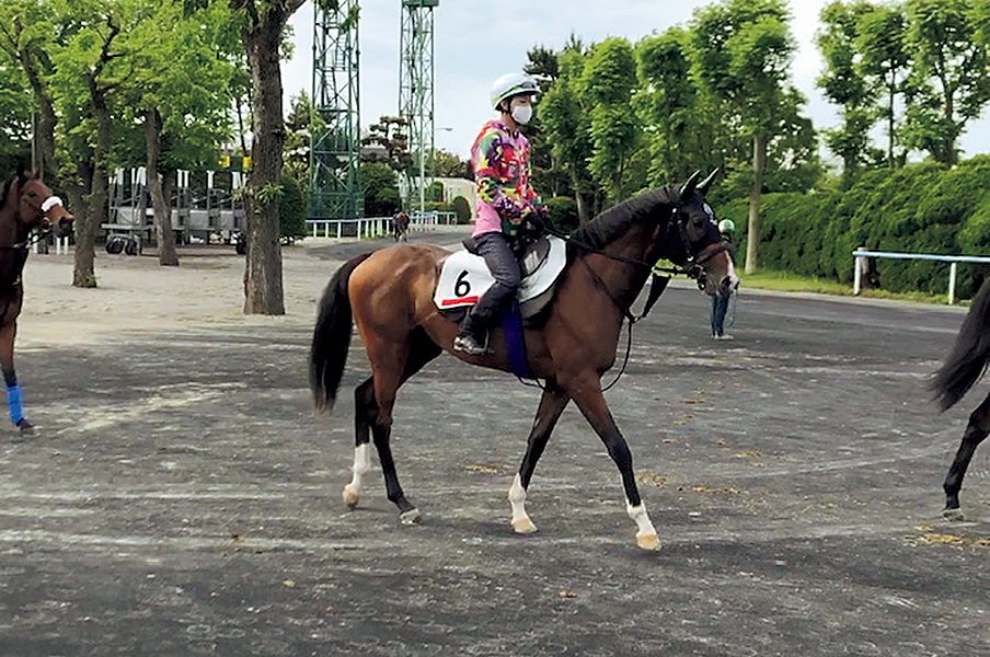 厳戒態勢でも史上2位の売上。セレクトセールの悲喜こもごも。<Number Web> photograph by NIKKAN SPORTS