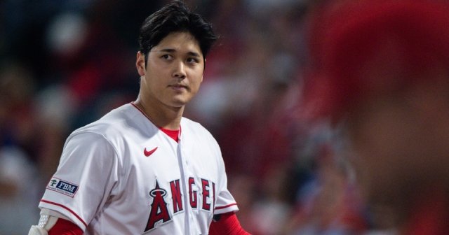 そうだ、大谷さんを観にいこう」驚きのチケット代…人生初“メジャーを生