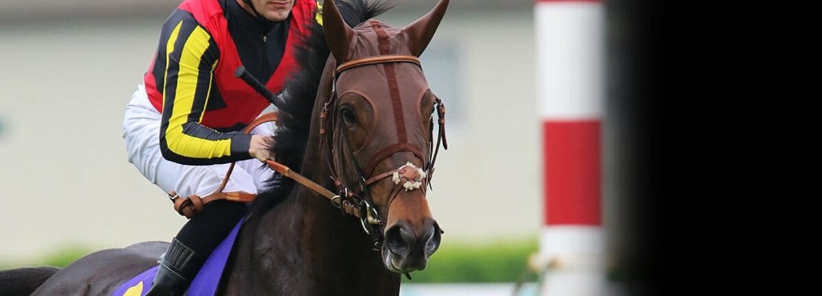 一強」ドゥラメンテの最大の死角とは。超良血馬集結の日本 一強」ドゥラメンテの最大の死角とは。超良血馬集結の日本