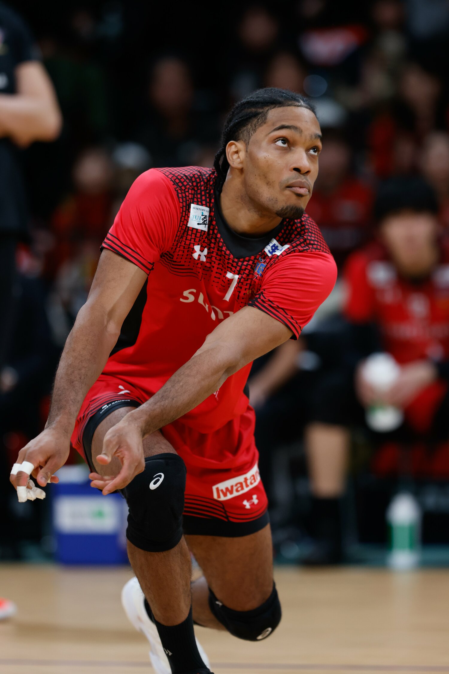 ©︎SUNTORY SUNBIRDS