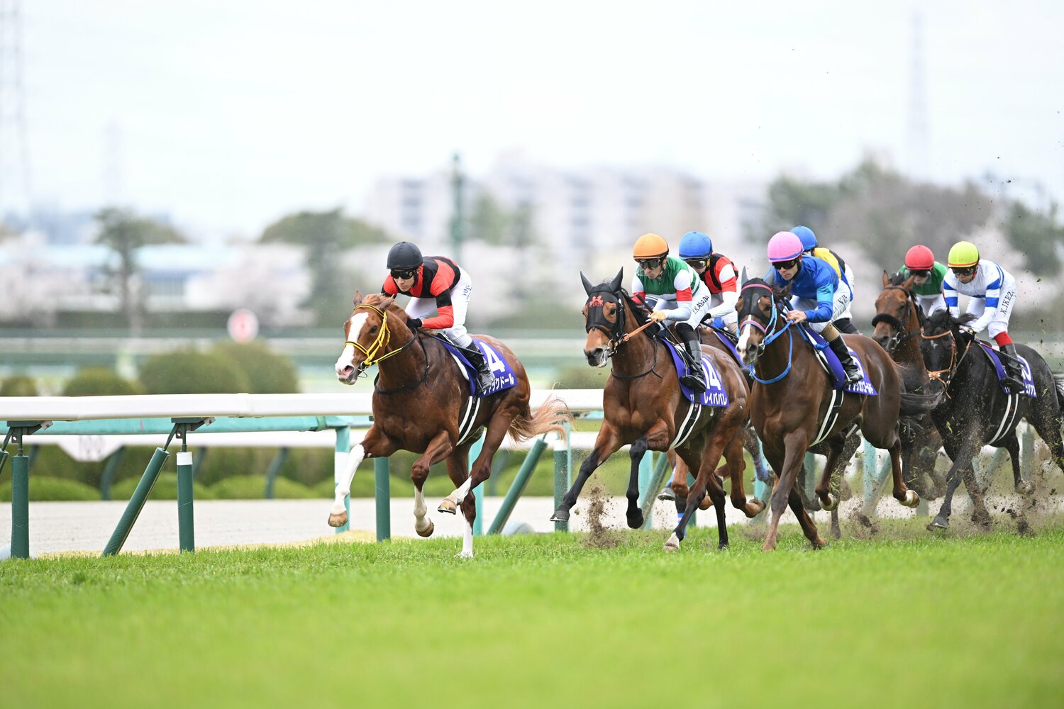 大阪杯は“2強”がともに沈むまさかの結果に　©Keiji Ishikawa