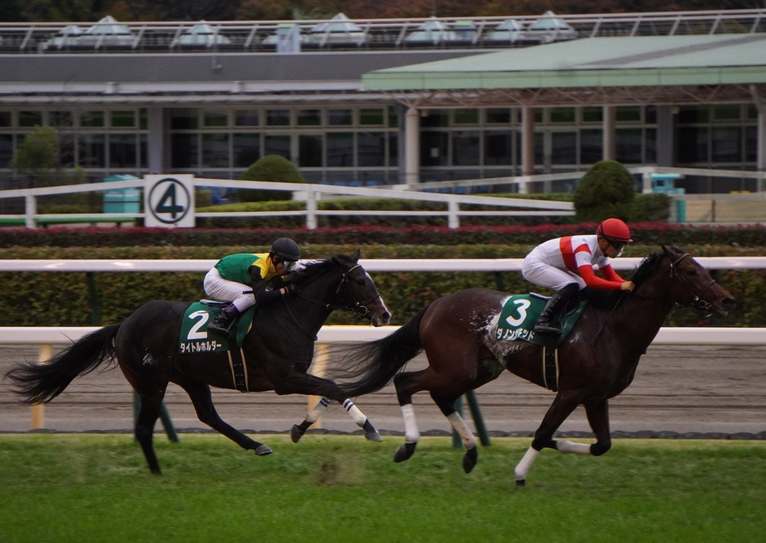 東京スポーツ杯にてダノンザキッドにかわされたタイトルホルダー　©Satoshi Hiramatsu