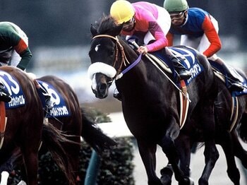 「スズメが飛ぶだけで…臆病だ」90年代唯一の三冠馬ナリタブライアンはなぜ“普通の馬”扱いされたか「兄ビワハヤヒデよ、そんなに走らないで」＜Number Web＞ photograph by Keiji Ishikawa
