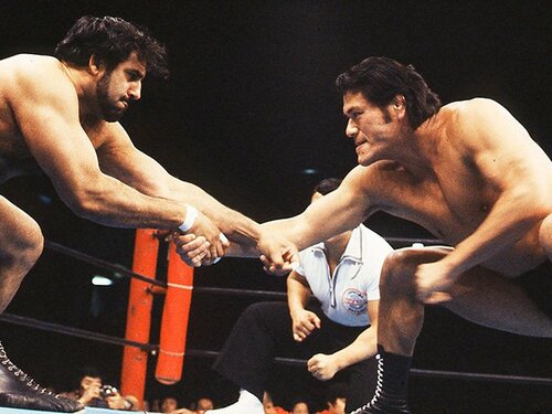 img_4e66b1af7e81da28019664fde1