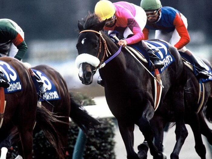 「スズメが飛ぶだけで…臆病だ」90年代唯一の三冠馬ナリタブライアンはなぜ“普通の馬”扱いされたか「兄ビワハヤヒデよ、そんなに走らないで」<Number Web> photograph by Keiji Ishikawa