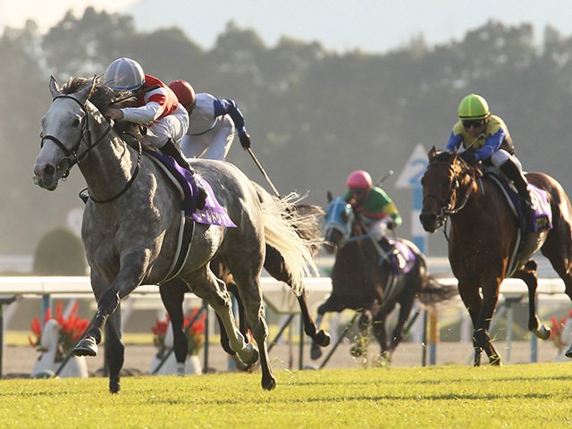 ダービー上位陣不在の菊花賞は芦毛!?ゴルシ、ヒシミラクル、では今年は