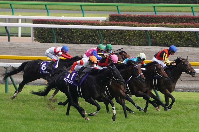 安田記念で圧倒的1番人気のグランアレグリアにわずかに先着したのが、8番人気のダノンキングリーだった ／ photograph by Satoshi Hiramatsu