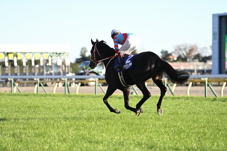 レース直前のコントレイル