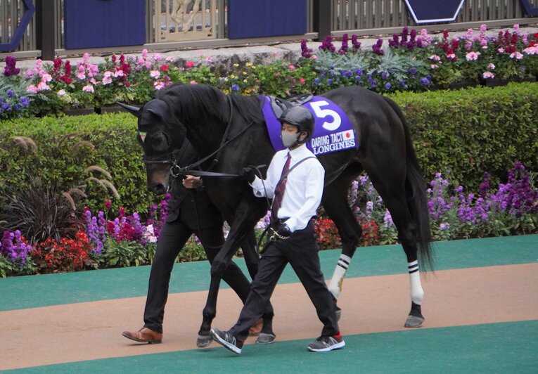 デアリングタクト　ジャパンカップ