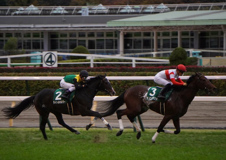 東京スポーツ杯にてダノンザキッドにかわされたタイトルホルダー　©Satoshi Hiramatsu