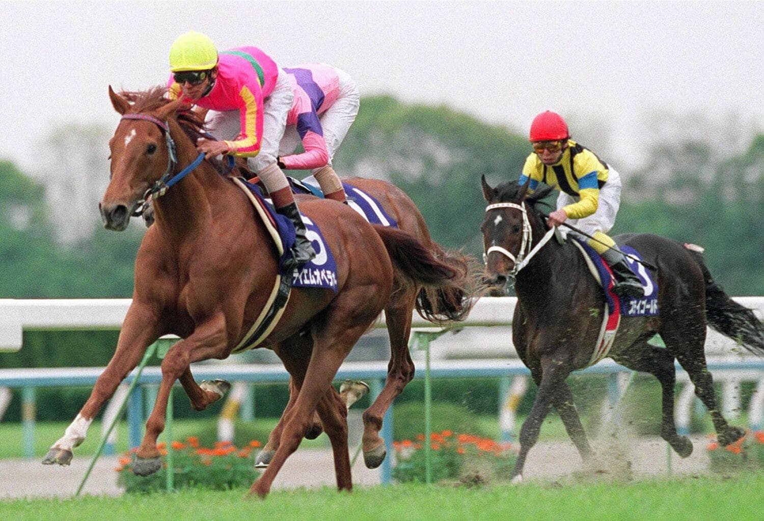 天皇賞・春でGⅠ2勝目をあげたテイエムオペラオー　2000年©JIJI PRESS