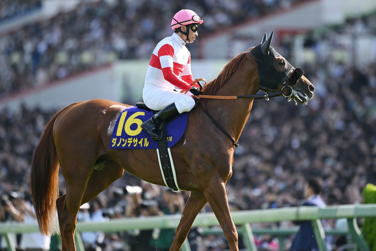 横山典弘がダノンデサイルの異変を察知し、競走除外となった皐月賞　©Keiji Ishikawa