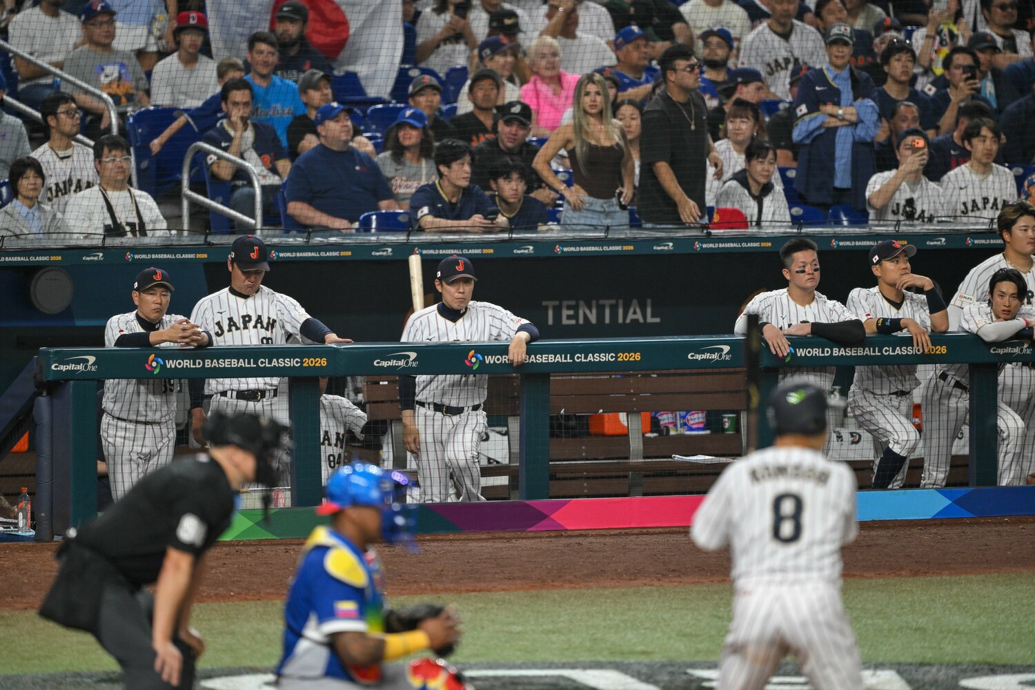 代打・近藤の打席を、周東はベンチから見つめていた　©Nanae Suzuki