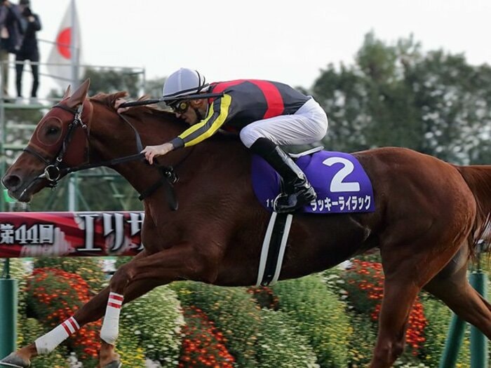 ラッキーライラックとスミヨン。エリ女でメジロドーベル以来の快挙。<Number Web> photograph by Yuji Takahashi