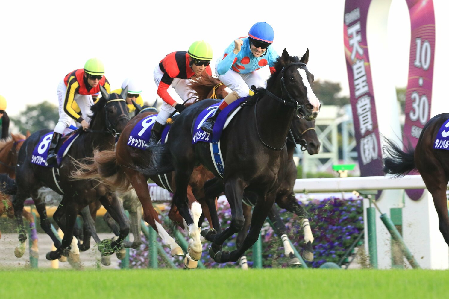 2022年秋の天皇賞でG1初制覇を果たしたイクイノックス ©︎AFLO