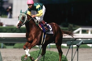 【必読】サイレンススズカはなぜ天皇賞・秋で骨折し“安楽死”したのか？ 「殺さないで」ファンの声で手術をしたテンポイントは42日後に…