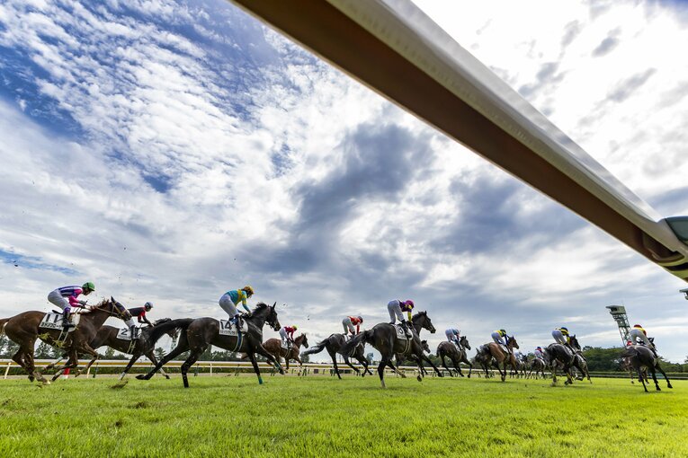 新潟競馬場 ／ photograph by photostud