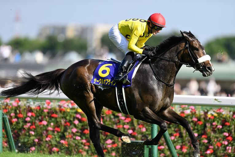 オークス直前に顔面を蹴られて放馬…発走“15分の大遅延”はなぜ起きたのか？「多くの馬の戦いは、スタート前に終わってしまった」(21)