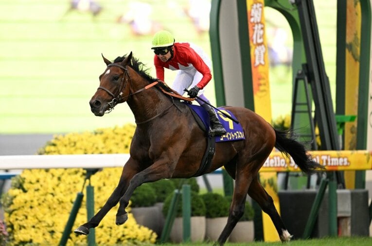 馬群を割って鋭く伸びたゴーイントゥスカイ。京都の長距離を知り尽くした名手・武豊のエスコートに応えた ／ photograph by Keiji Ishikawa