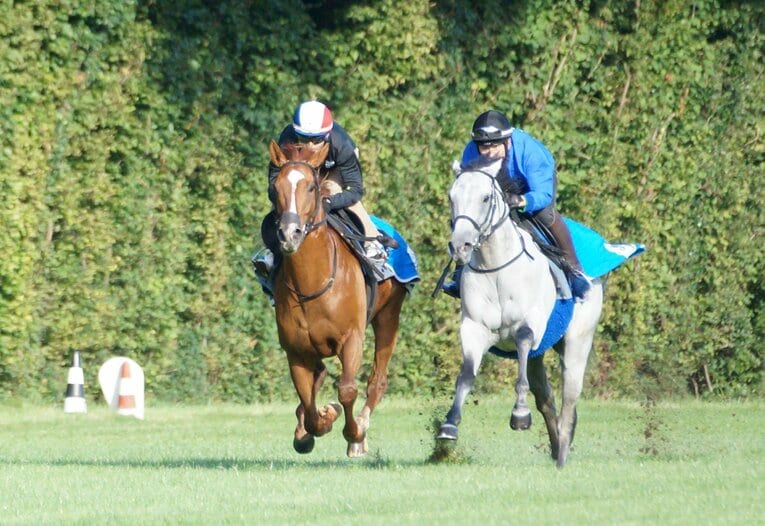 急遽オルフェーヴルの追い切りを任された藤岡佑介騎手（左）　©Satoshi Hiramatsu
