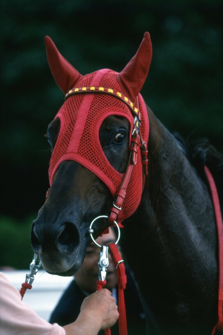 1996年京都大賞典、マーベラスサンデー　©Keiji Ishikawa　