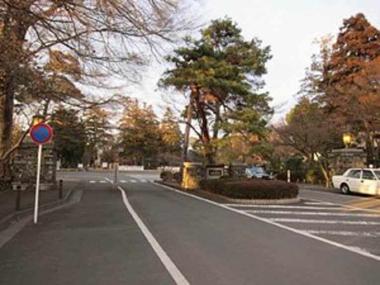 お花見シーズン直前ボタリング。ブームの「墓マイラー」をやってみた。(12)