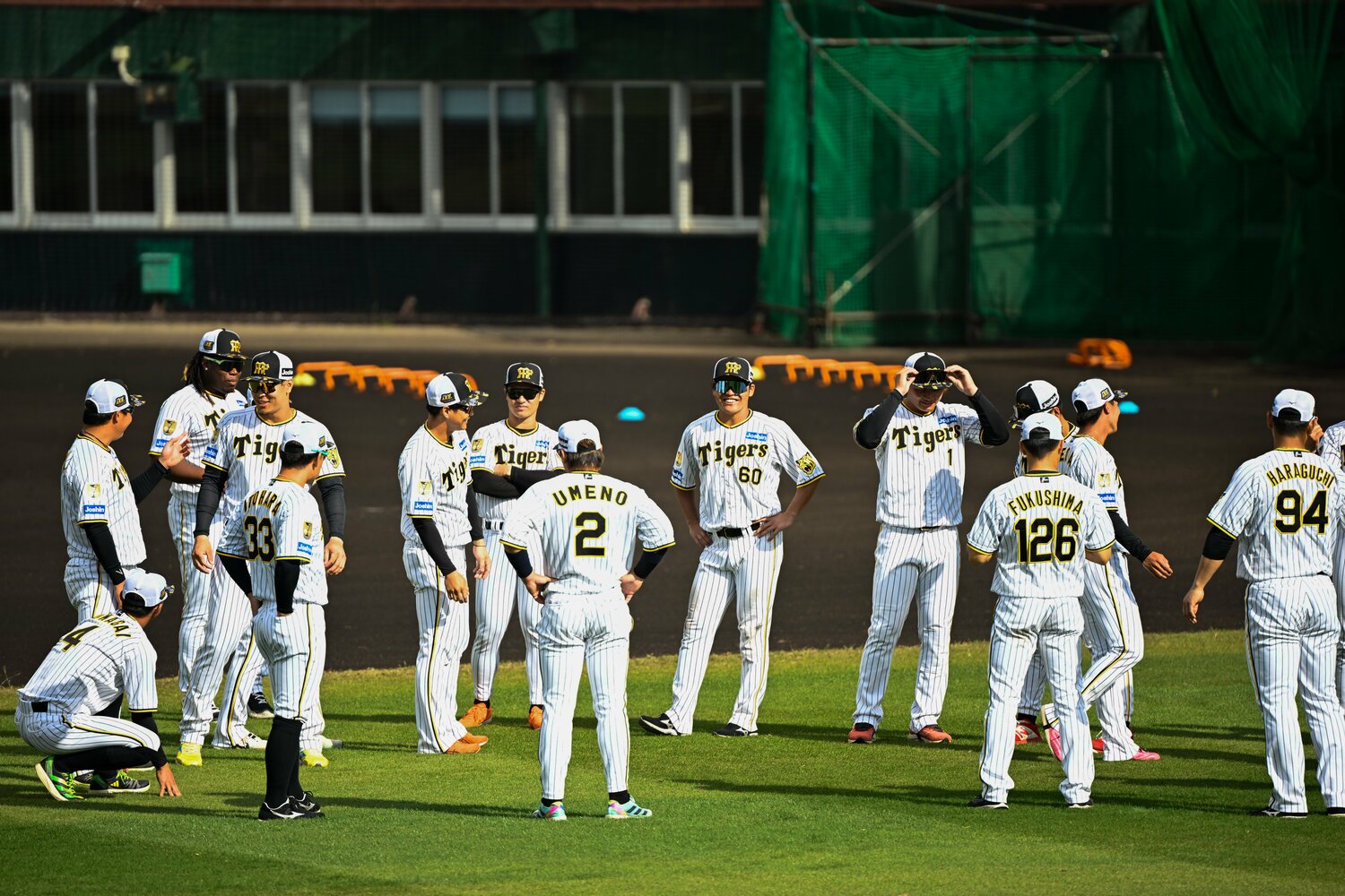 近年は沖縄で行われるようになった阪神のキャンプ　©Nanae Suzuki