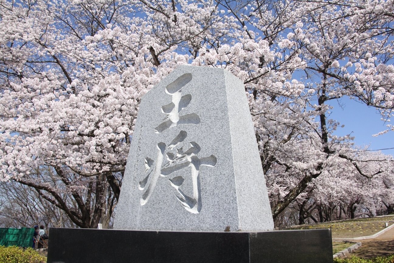 藤井聡太竜王 大変参考になったで ござる 初出演した 人間将棋 を現地取材 観る将マンガ家が超楽しんで描いてみた 2 3 将棋 Number Web ナンバー