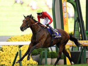 「ロブチェン松山弘平の第一声は謝罪だった」“まさかの14着”菊花賞の誤算とは何だったのか？「とにかく内で」ゴーイントゥスカイ武豊は“動かなかった”