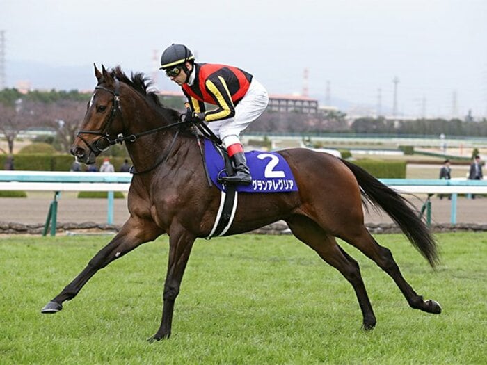 2歳女王に唯一、土をつけている！桜花賞はグランアレグリアに期待。＜Number Web＞ photograph by Eiichi Yamane/AFLO