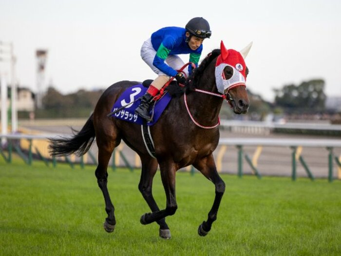 逃げ馬はなぜ“強くなった”のか？ 逃げの名手・中舘英二に聞いた理由「スピードを追求してきた結果」「ツインターボは乗るのが怖かった…」＜Number Web＞ photograph by Photostud