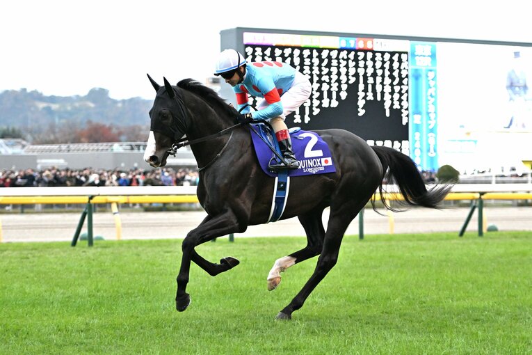 イクイノックスの返し馬　©Keiji Ishikawa